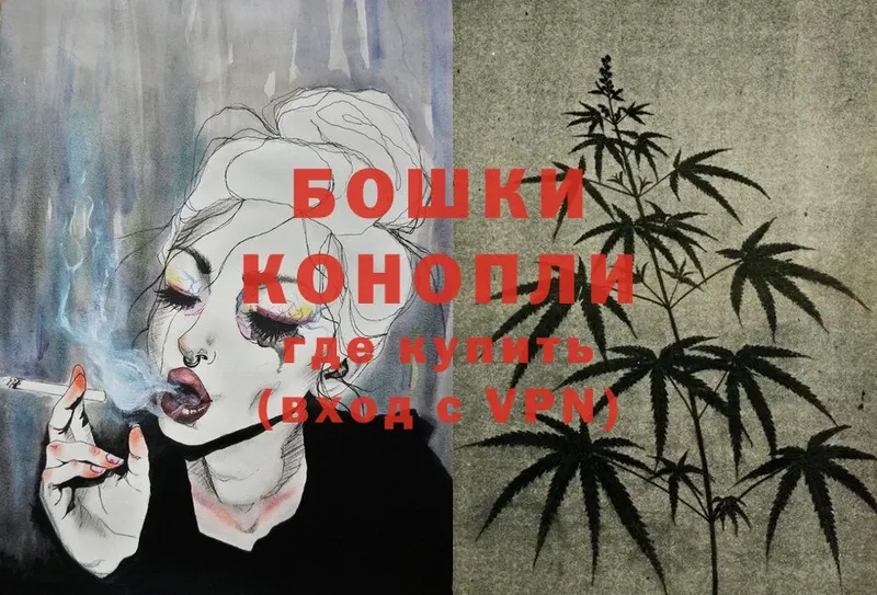 Бошки Шишки Ganja  где купить наркотик  Куса 